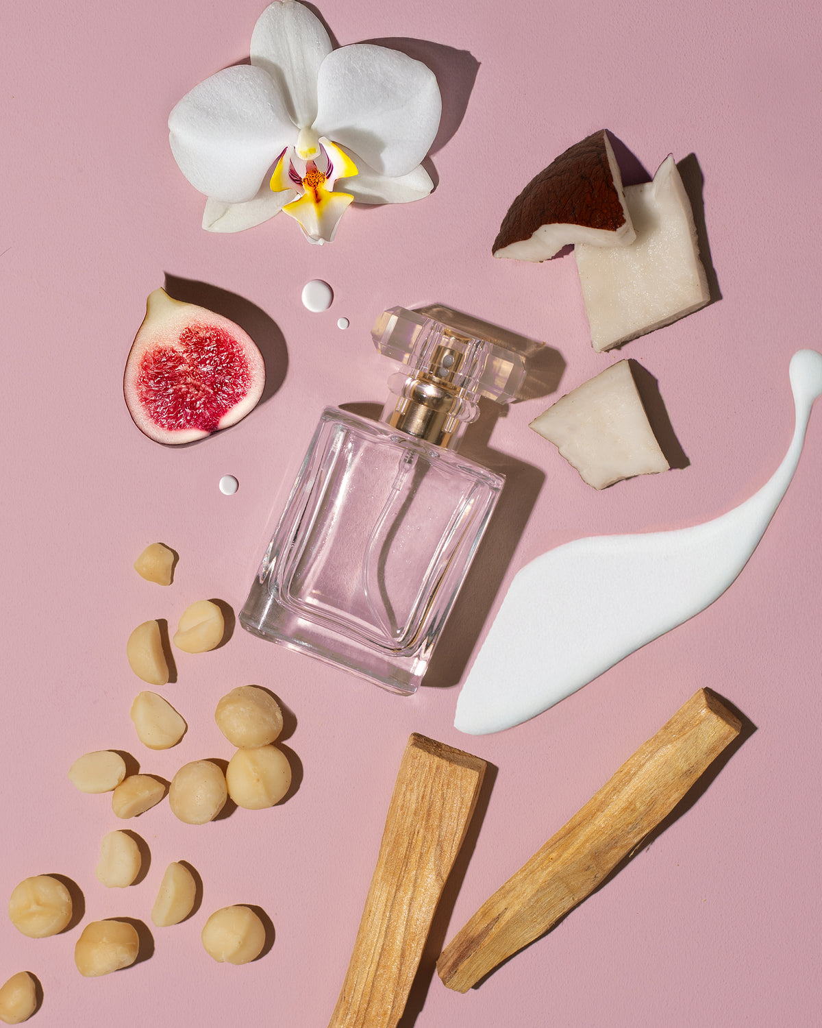 Where Orchids Wander