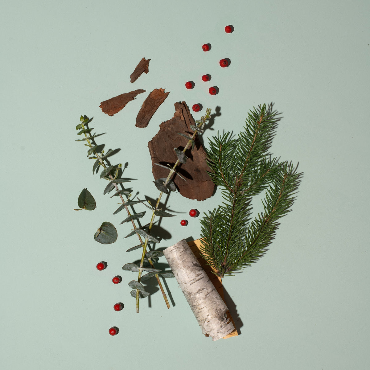 Winter Finds Its Way Home